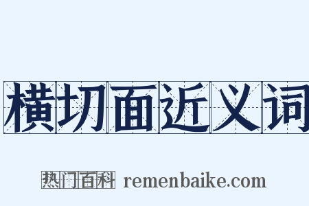 横切面近义词是什么意思的图片